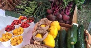 Southern Harvest Association is bringing food straight from the farm to the people
