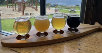 Brews and views: some must-try beer experiences on the Far South Coast