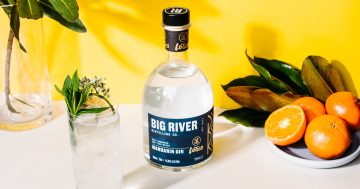 Everything you need to know about Canberra's first 'International Gin Festival' (including how to drink it)