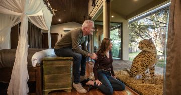 Canberra's Jamala Wildlife Lodge officially Australia's best 'Unique Accommodation'
