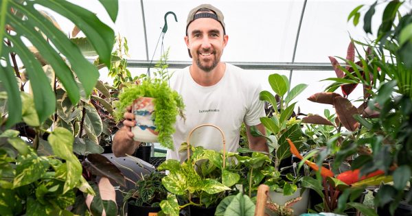 Did you know you can get plants delivered in Canberra?
