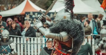 Here be dragons! Queanbeyan to go medieval for inaugural fair this September