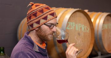 First taste of this year's vintage points to an 'epic year' for Lerida Estate