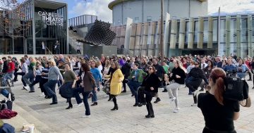 Last year's 'Nutbush' flashmob was such a hit, it's coming back