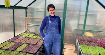 Meet the Growers: Fiona Buining shares her vision for urban farming in Canberra