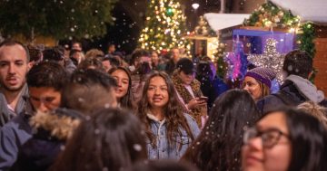 'Tis the season: lakeside festival cheer taking over Canberra this Christmas in July
