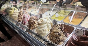 There is a new dairy queen in town: Anita Gelato!