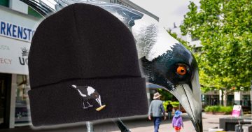 Civic's 'Big Swoop' magpie sculpture now comes with its own merch