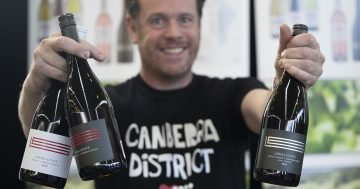 Korean and Japanese importers excited by Canberra's world-class boutique wines