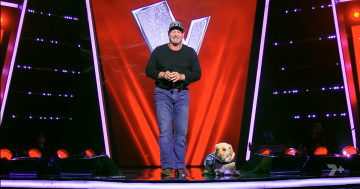 Retired army veteran Chris Hodder and assistance dog Bella step into the limelight together