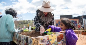 Get back to your roots with brand new nature festival in Canberra this spring