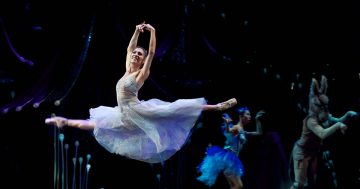 Queensland Ballet excited to bring A Midsummer Night’s Dream alive in Canberra