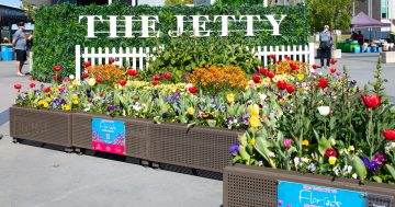 The Jetty debuts a brand new look for summer lakeside socials