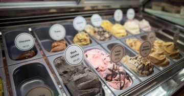 Taste the unique flavour difference that Bubu gelato brings as it launches its second store in Dickson