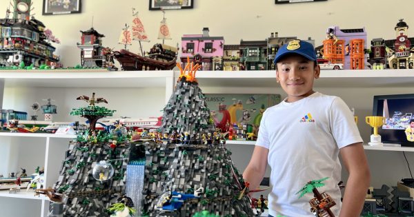 Aspiring LEGO Master's collection got so big, his family moved house