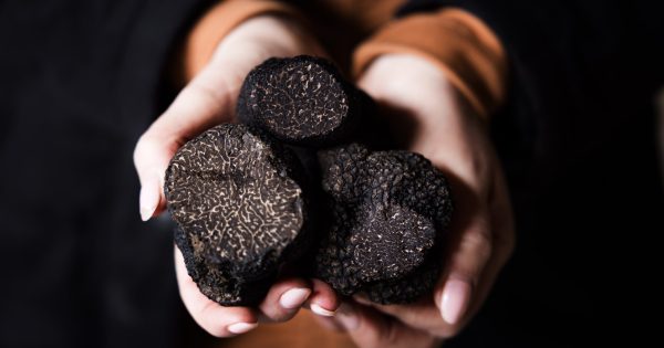Embrace the dark delights of Winter dining at Beltana Farm