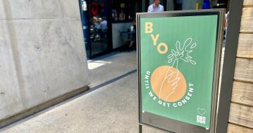 Hold my beer: Canberra venues stuck in liquor licence hold ups