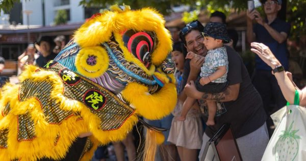 Celebrate the Year of the Wood Dragon in Dickson