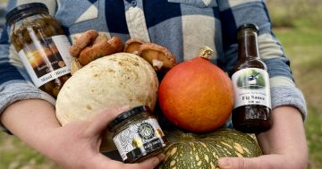 Embrace the cold and dine on the best of the season at Winter Festival