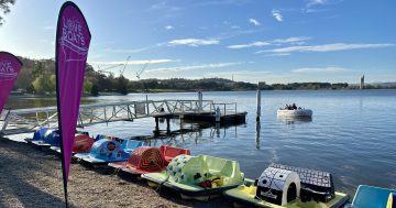 Paddle boats are coming back to Lake Burley Griffin in a big way