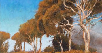 Is Roger Beale Canberra’s most professional amateur artist?