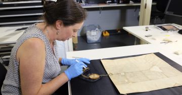 Magna Carta back on display at Parliament House thanks to dedicated conservators