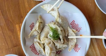 Dolly's hits the jackpot with bingo and Dolla Dumplings