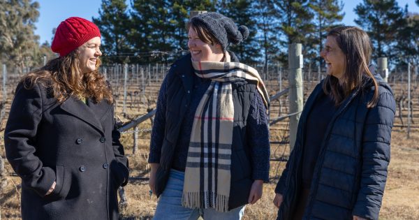 The best eats of 2025 as decided by our food writers