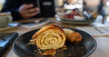 eighty/twenty's new gluten-free cafe opens in Phillip