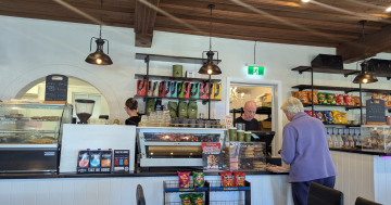 On your way to the snow? Chill out at the Snow Bunny Cafe