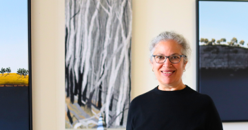 Bungendore's Suki and Hugh Gallery marks a milestone amid industry turmoil