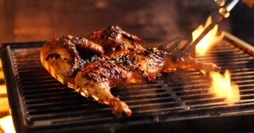 500 free flame-grilled chickens up for grabs at Canberra Oporto stores