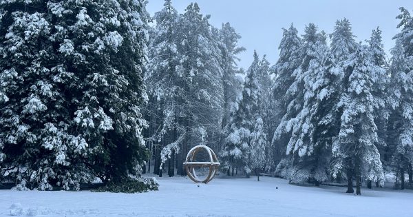 Snowy Valleys Sculpture Trail launches winter photography competition