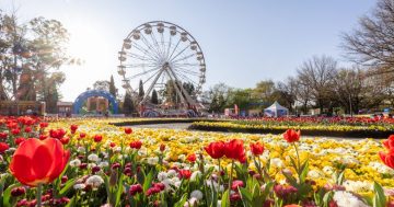 Everything you need to know about getting to Floriade this year