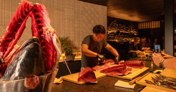 Koto celebrates a birthday with a tuna ceremony, flowing sake and the freshest sashimi