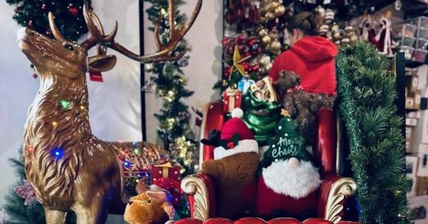 Sleigh the season at Canberra’s hidden Christmas gem