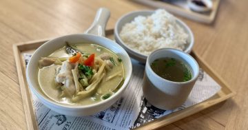 Dinner is served! Champi Express expands with must-try fusion flavours