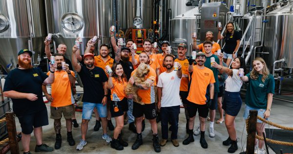 Free beer! It's Capital Brewing's shout for the festive season