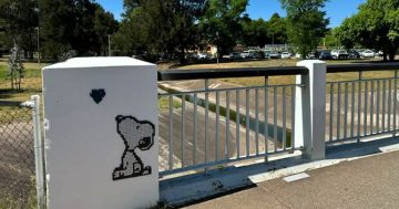 These mini mosaics are becoming Canberra’s most-loved public art