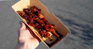 Adobo Filipino Food Truck is skewer-iously good