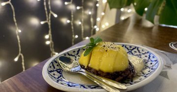 Live, laugh, larb at Ping Ping Thai