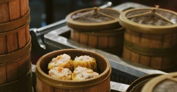 Three yum cha chefs, 50 kinds of dumplings and over 20 years of traditional Chinese at Ginseng