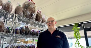 Try this Mawson shop's 5 kg Easter egg on for size