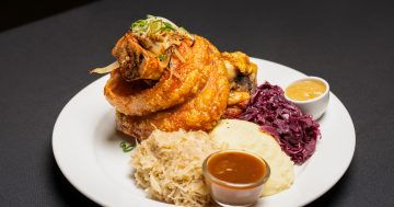 German Harmonie Club celebrates 10 years of schnitzels, knuckles and genuine bier